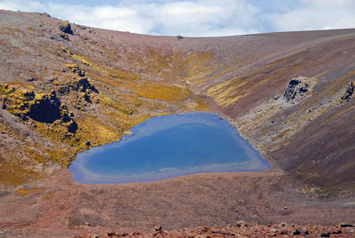 The Summit Crater Tristan da Cunha Government and the Tristan da Cunha Association 